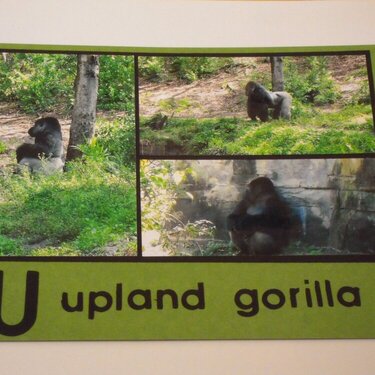 U - Upland Gorilla