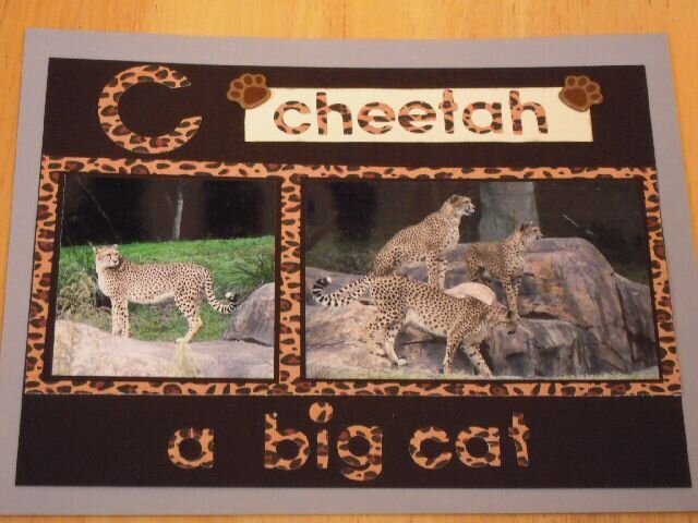 C - Cheetah