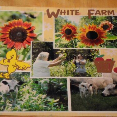White (family) Farm