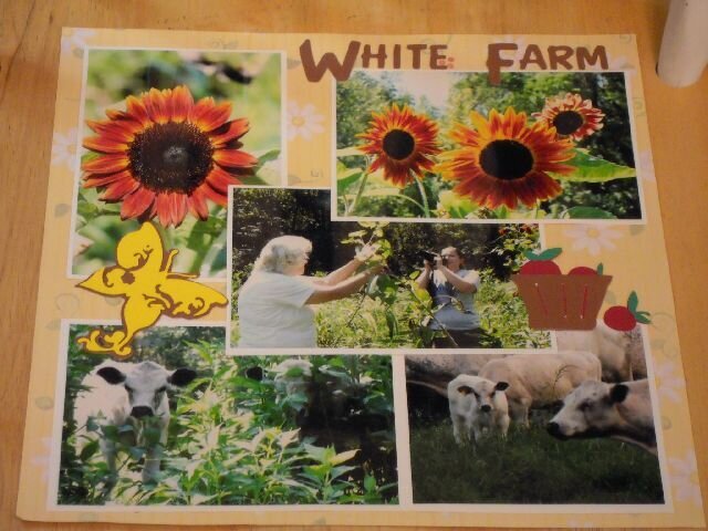 White (family) Farm