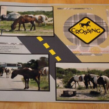 Horse Crossing