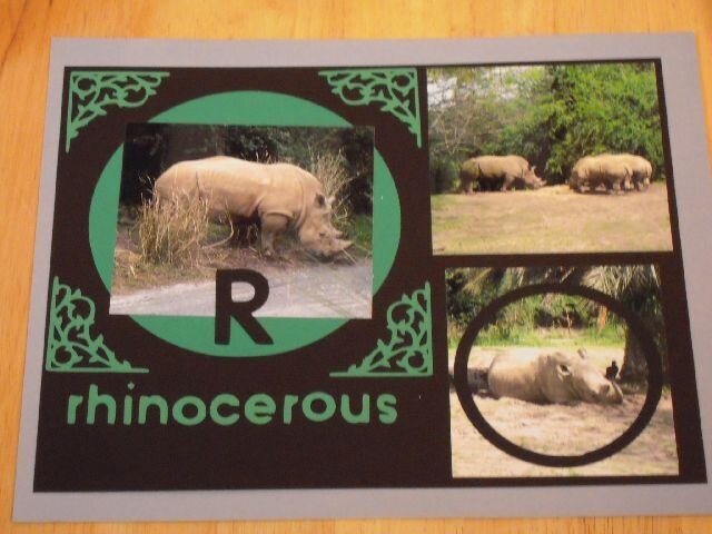R for Rhino