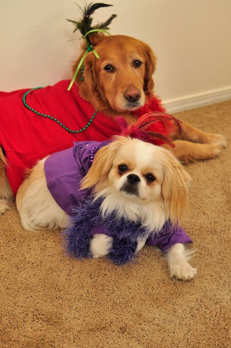 Shiley &amp; Chloe - Halloween 2010