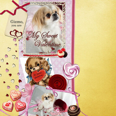 Gizmo, you are my sweet Valentine