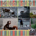 Water Dog's