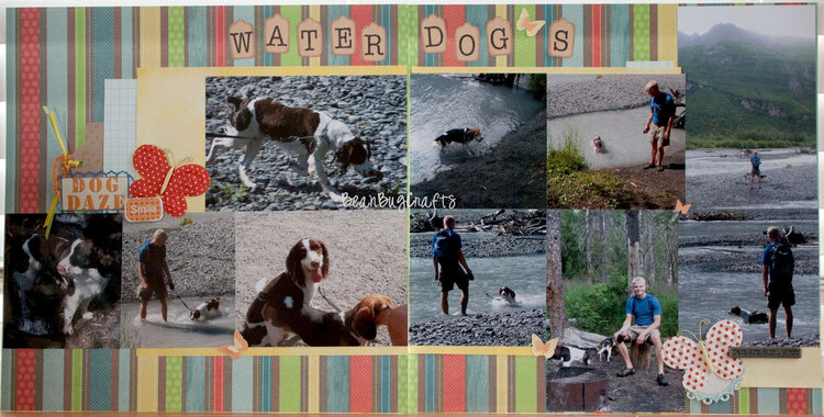 Water Dog&#039;s