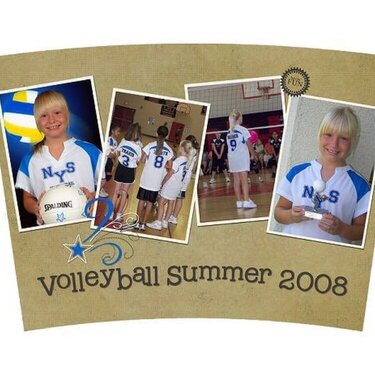 Volleyball Summer 2008
