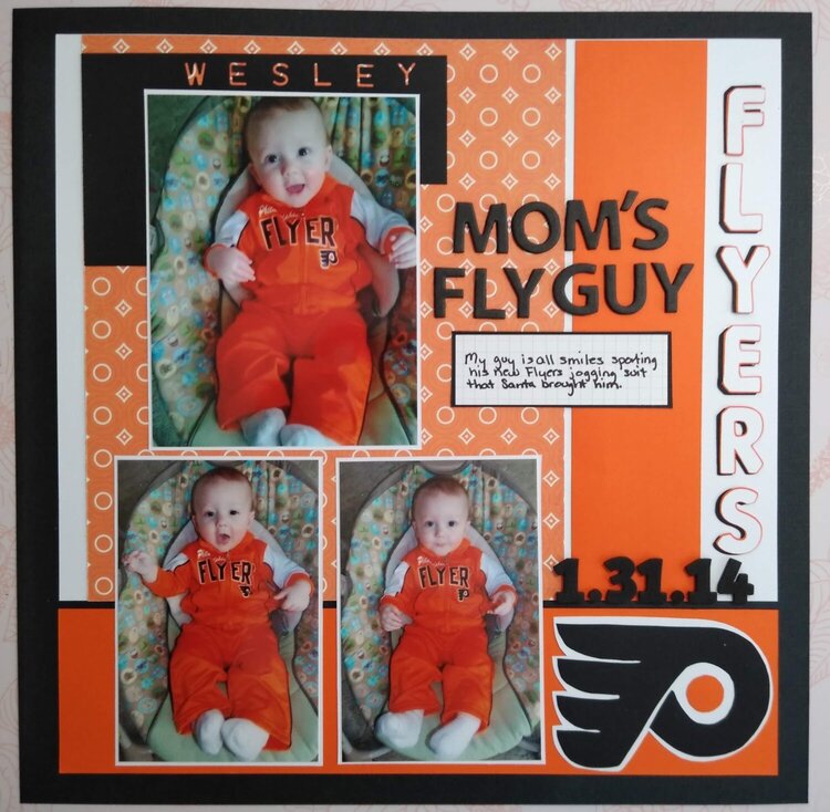 Mom&#039;s Fly Guy