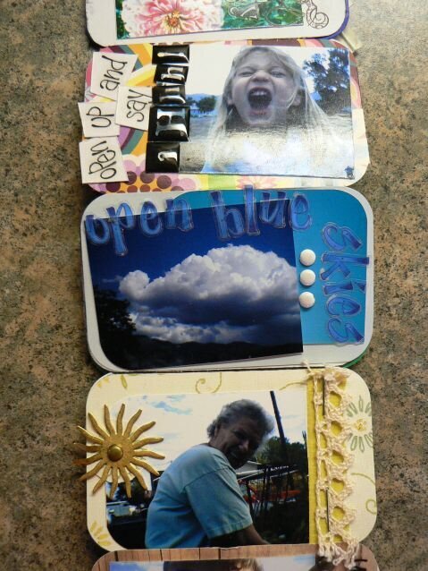 altoid tin album