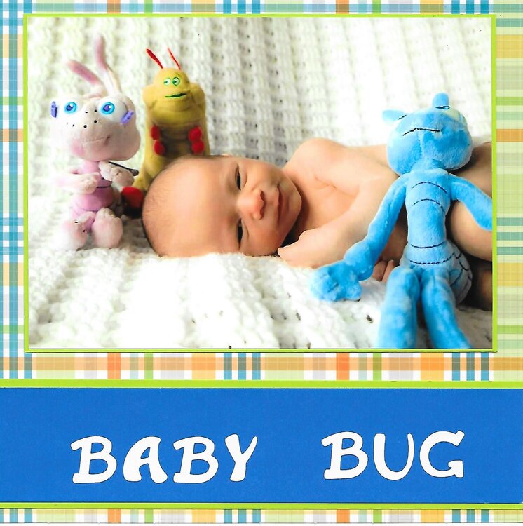 Baby Bug