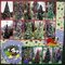 O (Disney) Christmas Tree *23 PICTURES!*