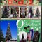 O (Disney) Christmas Tree *23 PICTURES!*