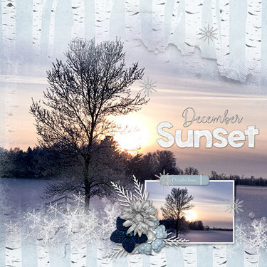 December Sunset