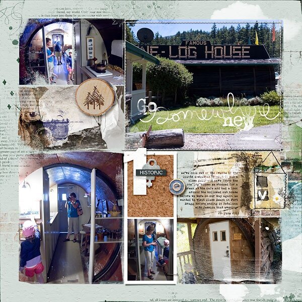 one log house