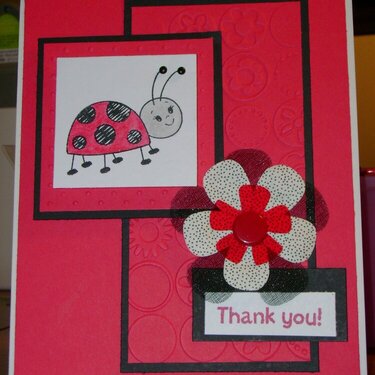 Thank You Lady Bug