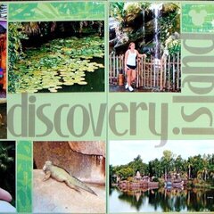 "D" Discovery Island