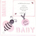 Gift Album - Baby