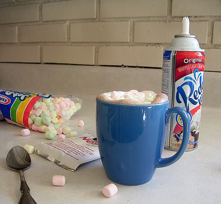 13. Hot Cocoa {5 points} w/Whip Cream or Marshmellows {5 points}