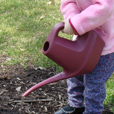 20. A Watering Can {7 points}