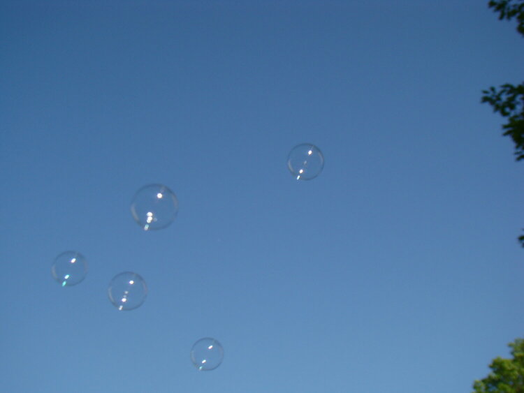 13. Bubbles {10 points}