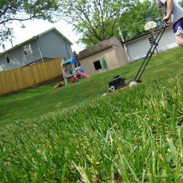 10. Freshly Mowed Grass {10 points}