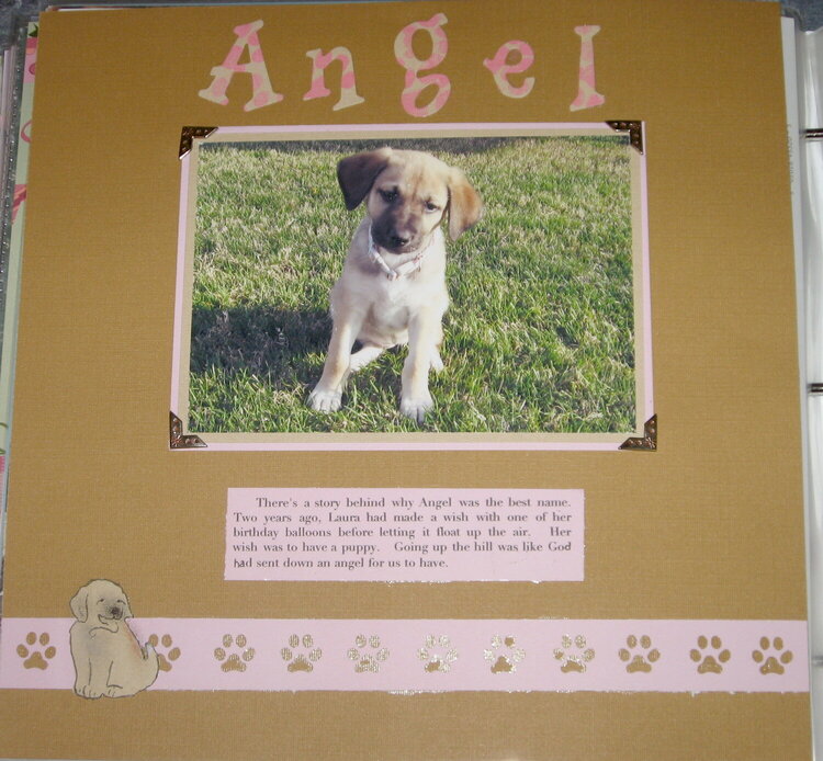 The story of Angel&#039;s name (almost completed during Camping)