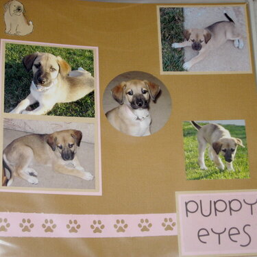 Puppy Eyes (layout finished during camping)