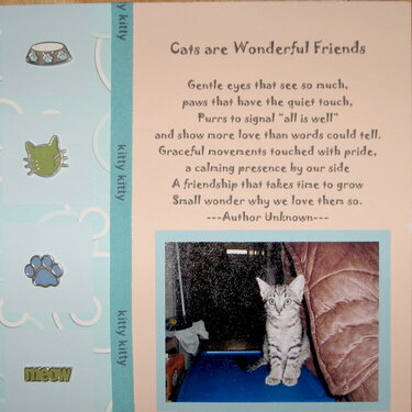 Cats are Wonderful- Bro&#039;s pet album