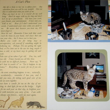 A Cat&#039;s Plea- Bro&#039;s pet album