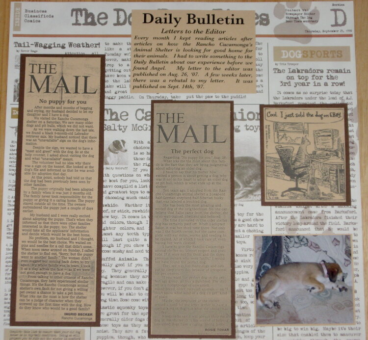 Daily Bulletin: The Mail