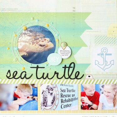 Sea Turtle * Studio Calico FEB kit*