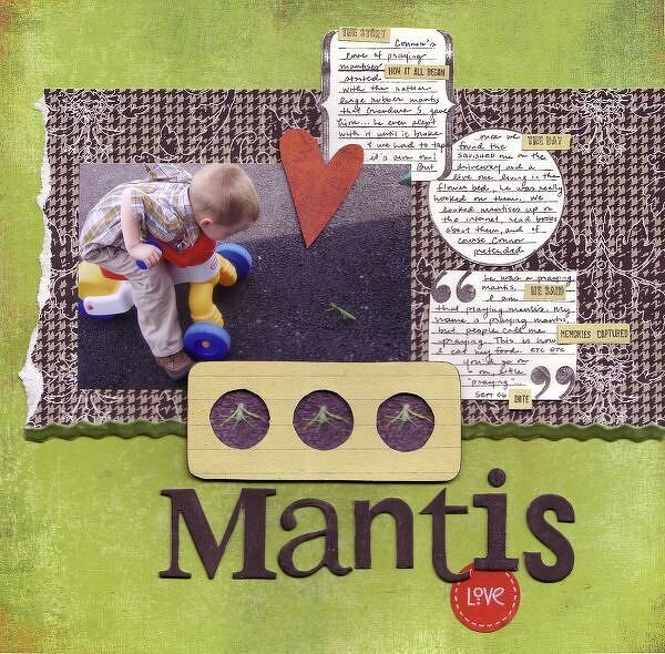 Mantis Love