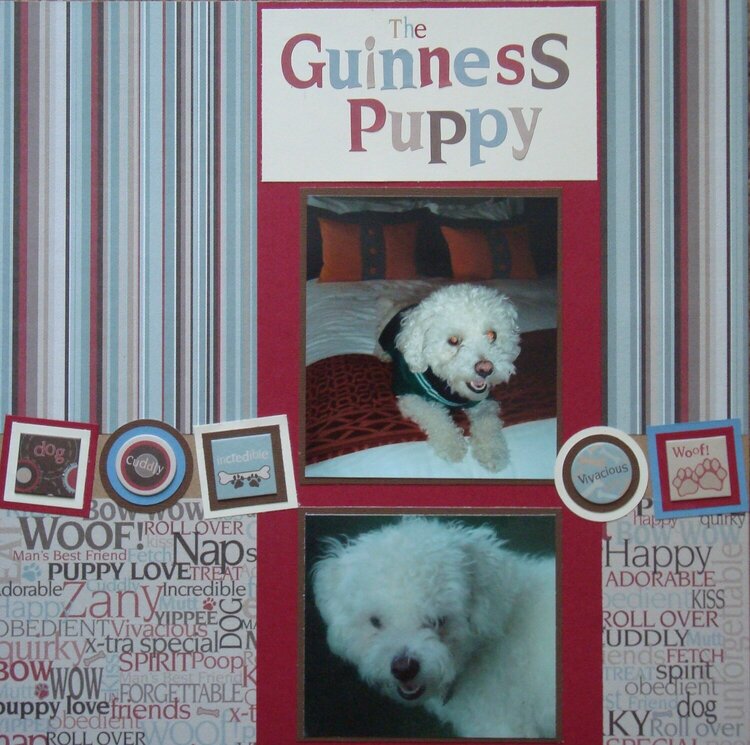 The Guinness Puppy
