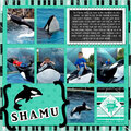 Shamu