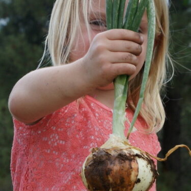 July Mini 2 G and her onion