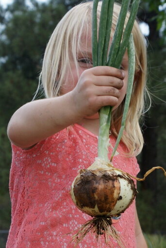 July Mini 2 G and her onion