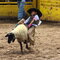 Septemeber POD 1  Mutton Bustin'