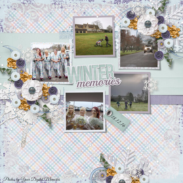 Winter Memories - Crocker Wedding