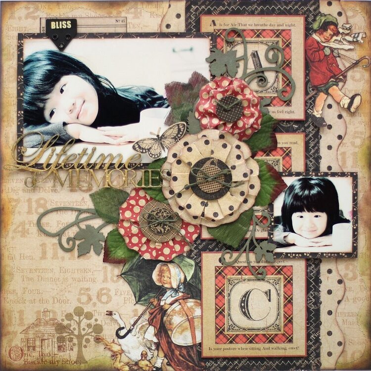 Lifetime of Memories *Graphic 45*
