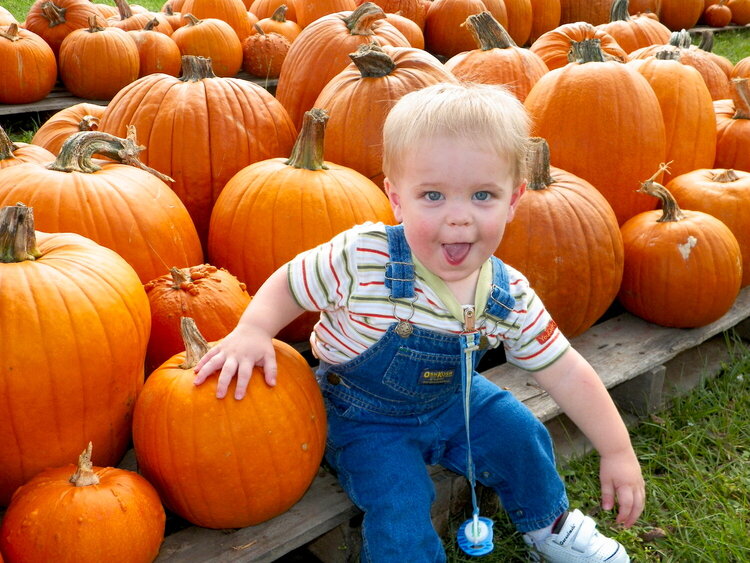 Cute as a Pumpkin