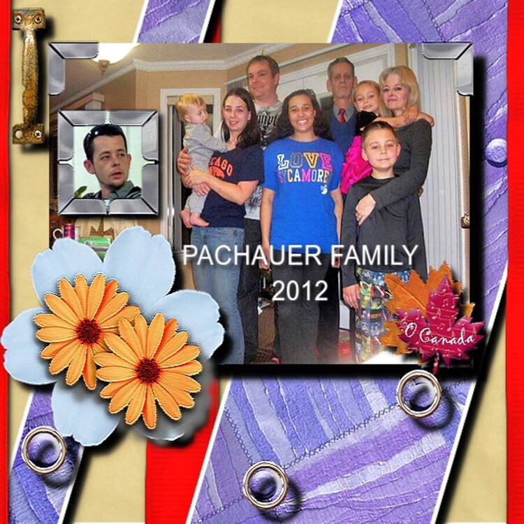 Pachauer Family 2012
