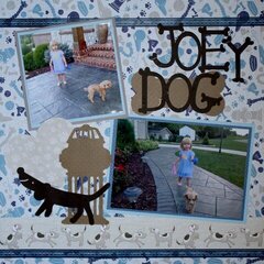 Joey Dog