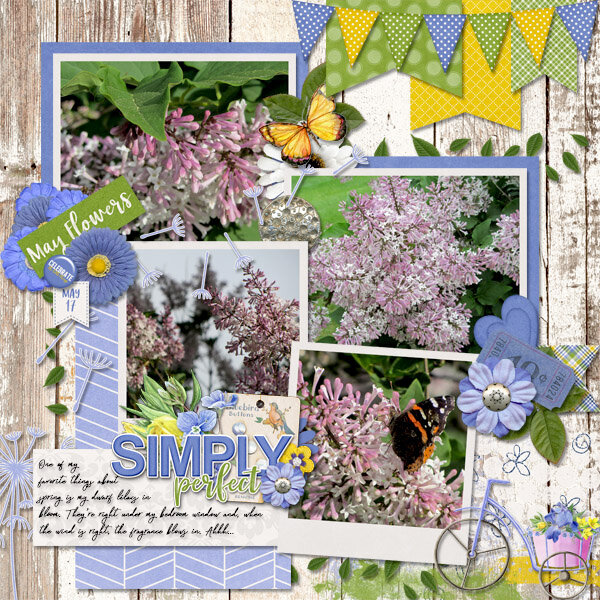 2012-05-17 My Lilacs cap_2017MayTemps2-L