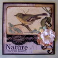 Nature Card