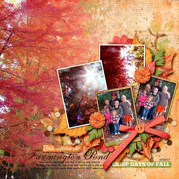 Fall in Farmington