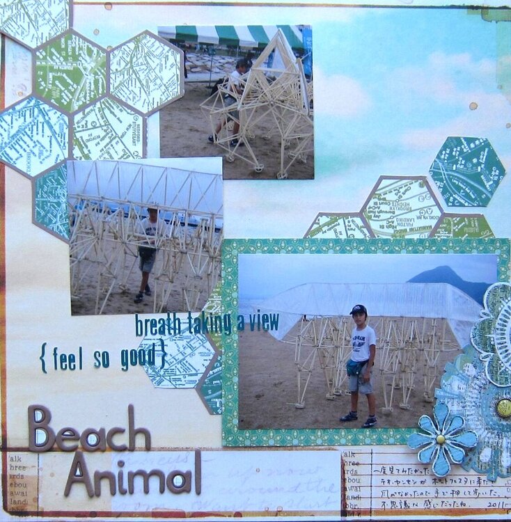 Beach Animal