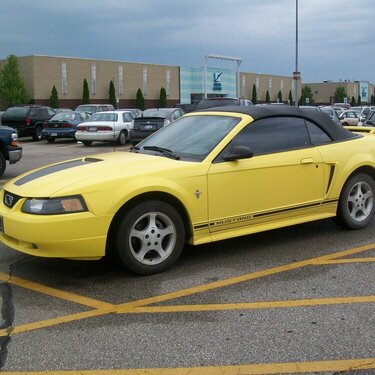 5. Yellow Mustang