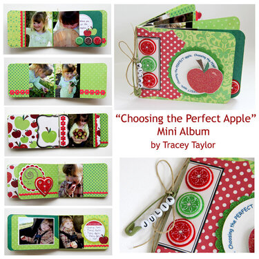 Choosing the Perfect Apple *Best Creation Inc*
