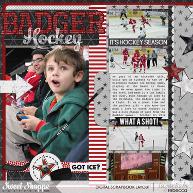 UW Badger Hockey_left