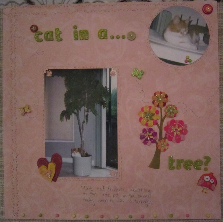Cat in a Tree?